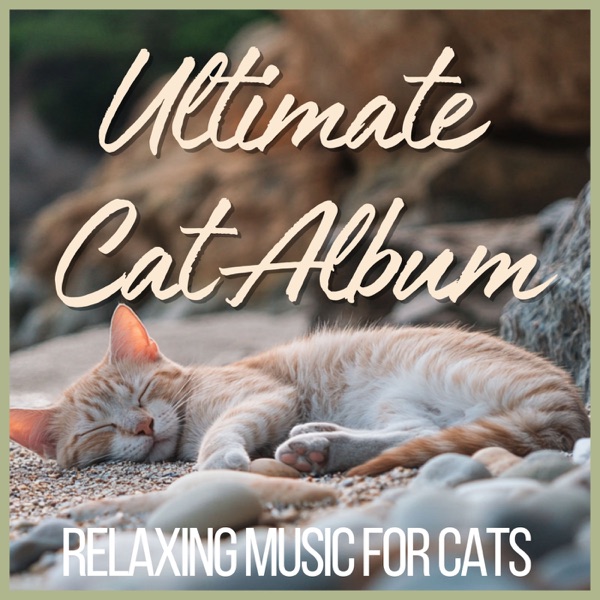 Ultimate Cat Album - Relaxing Music for Cats