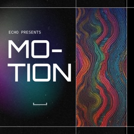 Motion Echo