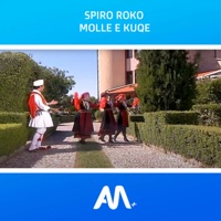 Molla e kuqe - Single - Art Media + & Spiro Roko