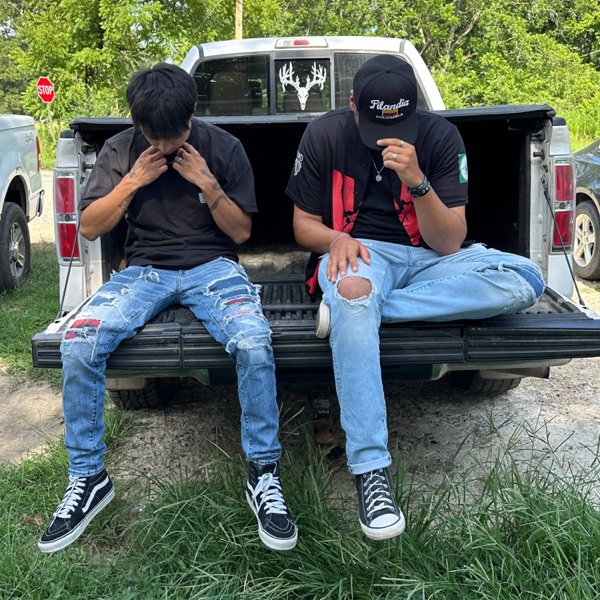 Sin Vergüenza (feat. P3LON)