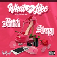 What You Like (feat. Sleepy Da Hitman) - Single - Brock Damien