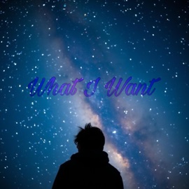 What I Want Orlando LVX & iamDreamer