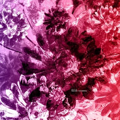 Split - EP