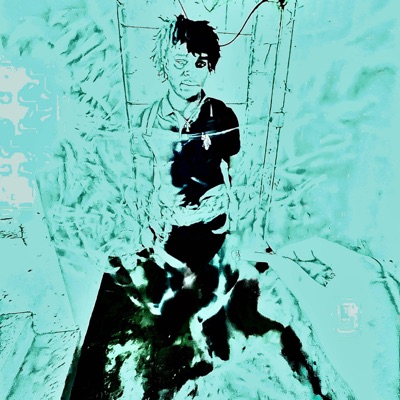 Serving in briggs - Single