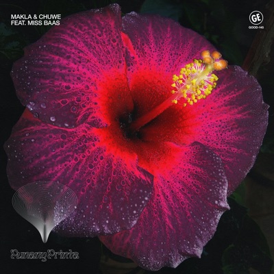 Punany Printa (feat. Miss Baas) - Single