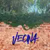 Vecina