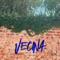 Vecina