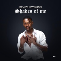 SHADES OF ME (feat. Decide SA, Life Enhle & Wayne & Tango) - Single - MILANI MAVERICK & Simefree
