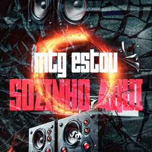 Mtg Estou Sozinho Aqui (feat. DJ LV do Everett & DJIAGUINDOIPB)