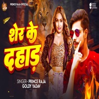Sher Ke Dahad - Single - Prince Raja & Goldi Yadav