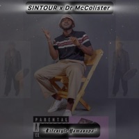 Lifestyle YamaSupa (feat. Dr McColister) - Single - Sintour