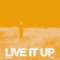 Live It Up (Bushbaby Remix) artwork