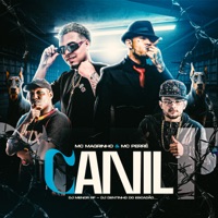 Canil - Single - Mc Perré, DJ MENOR RF, Mc Magrinho & DJ Dentinho do Escadão