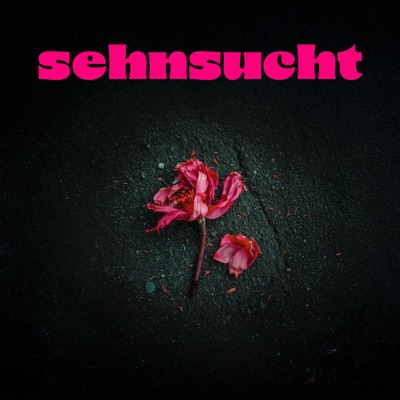 Sehnsucht - Single