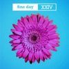 Icon Fine Day XXIV (feat. Adam F) - Single