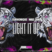 Light It Up - Single - Euphonique & Mad Sam