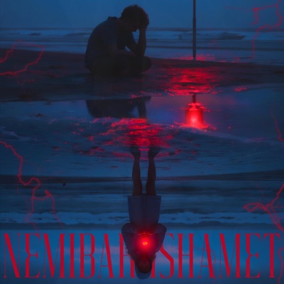 NEMIBAKHSHAMET - Single
