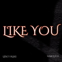 Like You - Single - Lance Blake