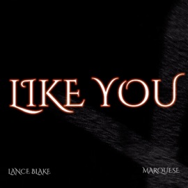 Like You Lance Blake