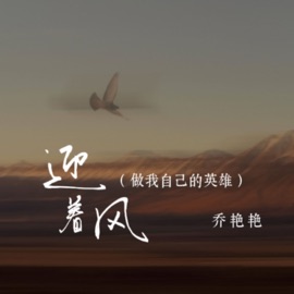 迎着风(DJ名龙版) [做我自己的英雄] Yanyan Qiao