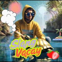 Slang Vacay 'Full Mixtape' New ☆•☆2025 - EP - Slang