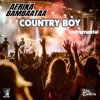 Country Boy (Instrumental) - Single