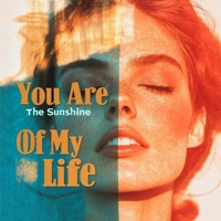 You Are The Sunshine Of My Life (Bossa Nova) - Single - Bossa Nova Brain