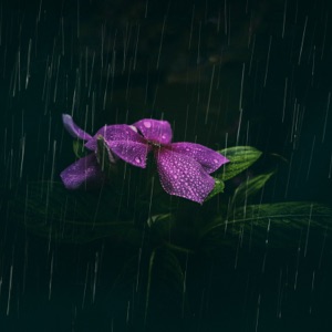 Oh, Mother - Single