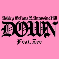 Down (feat. Zee) - Single - Ashley Bri'ana & Antwoine Hill