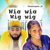 Wig Wig (feat. Tshairmpire & Jamokay) - Single - Son of Ika