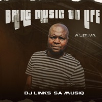 BringMusicToLifeAlbum - Dj Links SA MusiQ