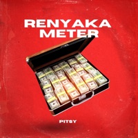 Motswako (feat. Chris Da Word Smith) - Single - Pitsy