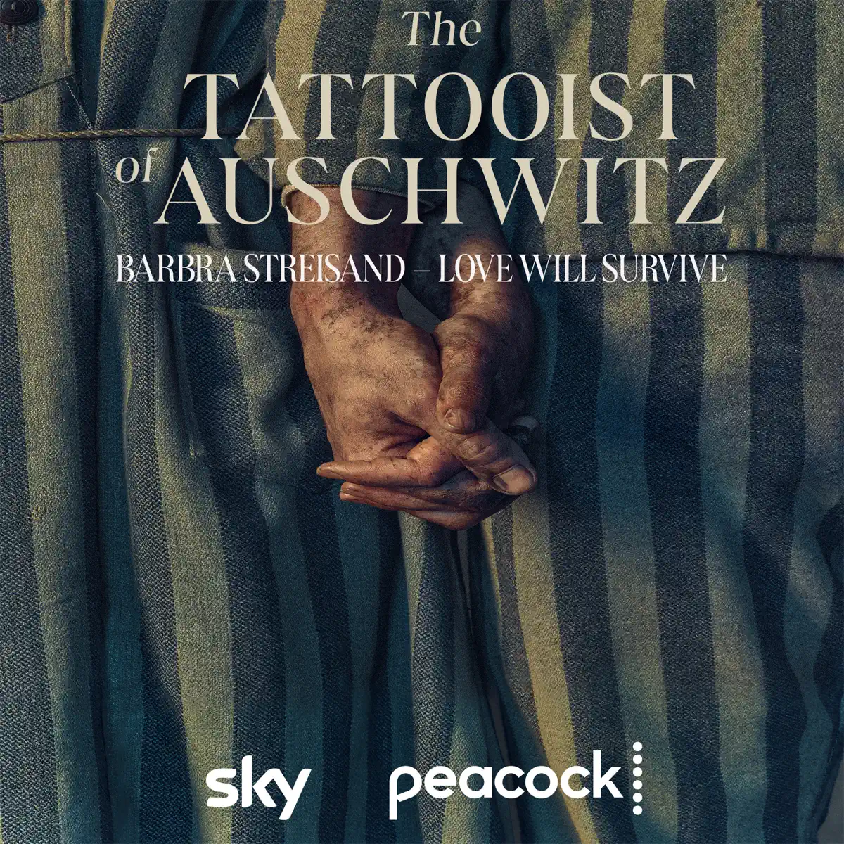 Barbra Streisand - Love Will Survive (from The Tattooist of Auschwitz) - Single (2024) [iTunes Plus AAC M4A]-新房子