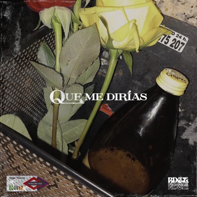 QUE ME DIRÍAS - Single