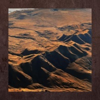 Desert Bloom - Single - Carey Clayton & Giosuè Greco