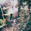 Icon Ozette - Single