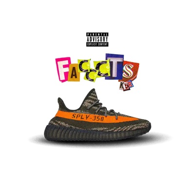 facccts_final.wav - Single