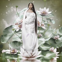 Curse - Single - BombayMami