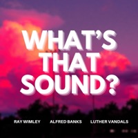 What's That Sound? - Single - Alfred Banks, Ray Wimley & Luther Vandals