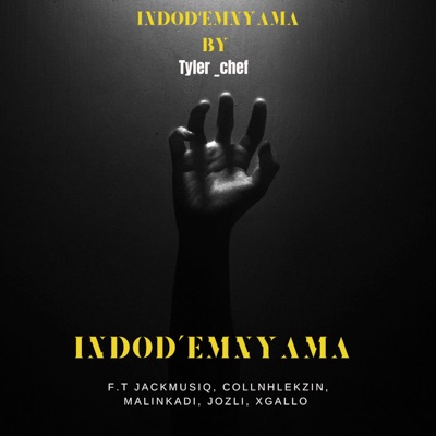 Indod'emnyama (feat. Jackmusiq, Collnhlekzin, MALINKADI, XGALLO & Jozli) - Single