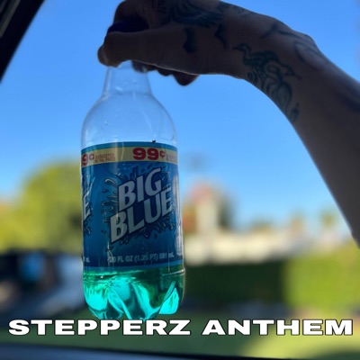 STEPPERZ ANTHEM (feat. DeeBandz26 & TB) - Single