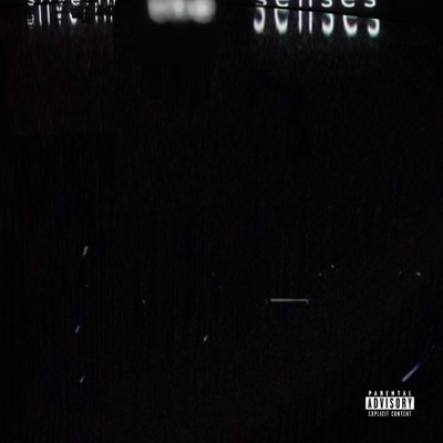 Slivering The Senses - Single