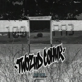 100РАЗ (feat. Соник) TWOZHD