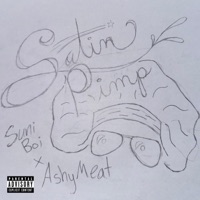 Satin Pimp (feat. AshyMeat) - Single - Suni Boi