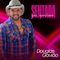 Sentada Que Apaixona - Single - Douglas Gavião