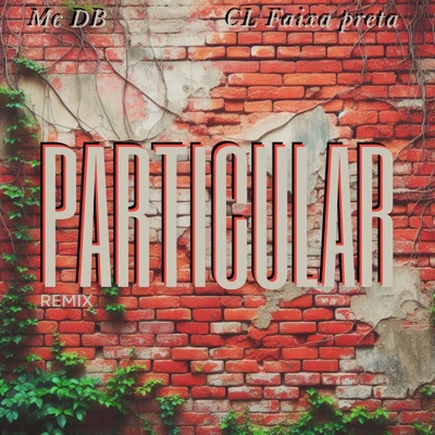 Particular (Remix) - Single