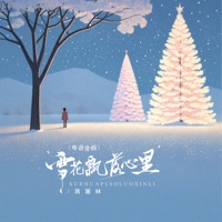 雪花飘落心里 (粤语金曲) - Single - 蒋蕙林