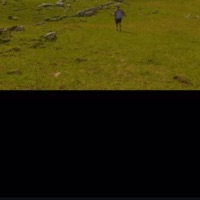 iLoveSpi - Single - 231Petros