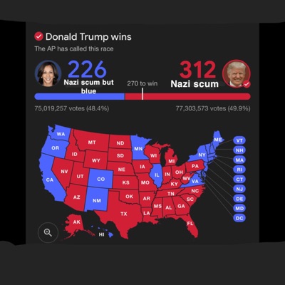 YOU! THERE! CANT STAND AMERICAN POLITICS AND THINKS WE SHOULD BURN IT DOWN! - Single