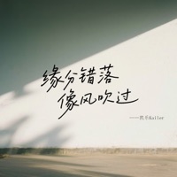 错过 (缘分错落 像风吹过 / Dj浩然版) - Single - 凯乐Kailer